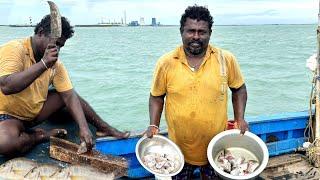 Delicious !!! Emperor Fish Curry | கடல் மேல் சமைத்த சுவையான வெள மீன் குழம்பு