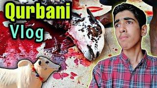 BAKRA EID VLOG 2023  QURBANI VLOG GOT EMOTIONAL  Ibrahim Asim | Bakray qurban krdiye Alhumdulillah