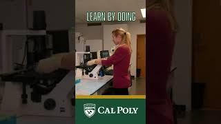 Cal Poly Research