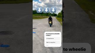 Wheelies on a z125  #shorts #shortfeed #z125 #wheelie #minimoto #bikelife #trending #hondagrom