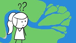 Why Do Rivers Have Deltas?