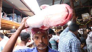 Big Sheat Fish Cutting || Incredible Big Sheat Slice || Incredible Big Sheat Fish Cutting Videos