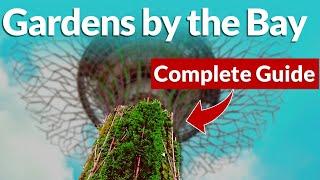 Singapore Gardens by the Bay - Travel Guide (should you visit?)