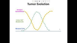 Webinar: Chandan Guha -  Focused Ultrasound Combination Approaches for Cancer Treatment