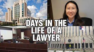 Days in the Life of a Family Lawyer. Attorney goes to Court