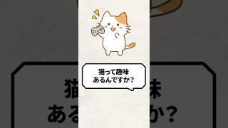Q: Do cats have hobbies? #cat #cat video #cat