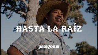 Hasta La Raíz: Down to the Root | Patagonia Films