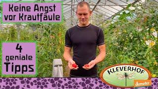 4 einfache Tipps um Krautfäule bei Deinen Tomaten zu verhindern