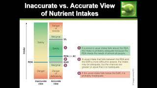 Guide to Diet Recommendations (DRI, RDA, EER, etc)