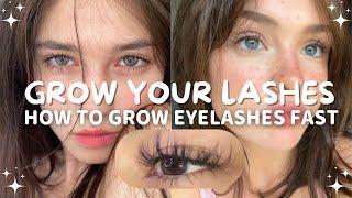 How I GROW MY LASHES in Just a WEEK?