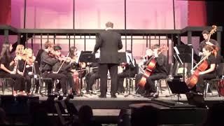 Little Sunflower - Chamber Orchestra, Spring 2019