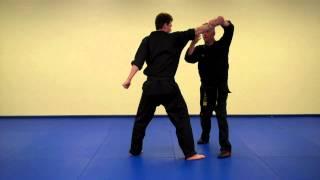 Vision Martial Arts: Self Defense 8 - Overhead Strike