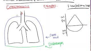 Variable intra and extra thoracic obstructions