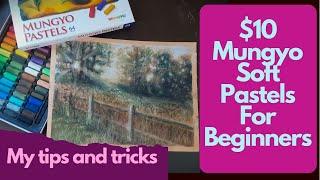 Get great Results with Mungyo soft pastels! Tips for beginners + review of Canson Mi-Teintes paper