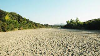 Effect of groundwater pumping on arid vegetative ecosystems