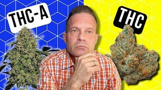 THCA vs THC | What's the Difference?