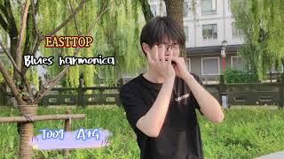 Despacito play by Easttop T009  harmonica