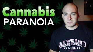 Cannabis Paranoia