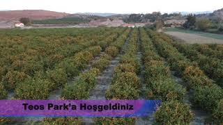 HOBI BAHÇELERİ EMLAKPARK  TEOS PARK SIĞACIK 05544964632