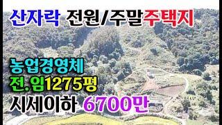 [저렴한 매물]예산군 광시면 산자락 전원/주말주택지1275평/6700만원 귀농귀촌 싼땅 전문 에산부동산 홍성부동산 부동산필