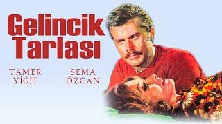 Gelincik Tarlası Türk Filmi | FULL | Tamer Yiğit | Sema Özcan