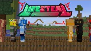 Dealing with The Issue | Lifesteal SMP ******