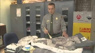 Petrified Forest Fossil & Paleontology Lab Tour ~ National Park