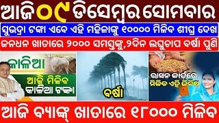 today's morning news odisha/9 December 2024/subhadra yojana online registration/odisha news today