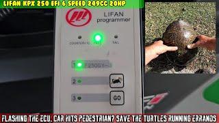 Lifan KPX 250 flash the ECU, pedestrian hit? Saved a turtle, stop at Harbor Freight, ACE and PO