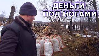 ХОЗЯЙСТВО НАЧАЛО ПРИНОСИТЬ ДОХОД. ВЕСЕННИЙ ЗАРАБОТОК НА НАВОЗЕ. ЖИЗНЬ В ДЕРЕВНЕ. МОЛОДАЯ ФЕРМА