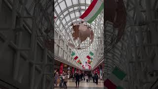 Breezing through the O’Hare #chicago #ohareairport #flags #world