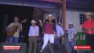 Llanto y Gallino Picao - Frank Gutierrez / Maria Carmen Marin - Fiesta Maribel y Edwin Espinoza