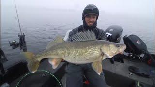 TOP 3 BIGGEST WALLEYES CAUGHT ON CAMERA (compilation)