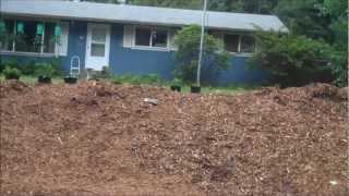 My Back To Eden Strawberry Patch Part 1 - L2Survive with Thatnub