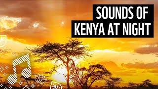 Kenya by Night | Nature & Meditation Sounds | WWF