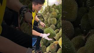 Must Try! The Most Popular Durian Store in Malacca, Malaysia - Fruit Cutting Skills