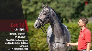 Online-Auktion Lot 15 Calippo Hengst v. Cornet Obolensky - Numero Uno