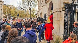 GUARD needs to SHOUT TWICE at IDIOT tourists who think they're at Disneyland, not Horse Guards!