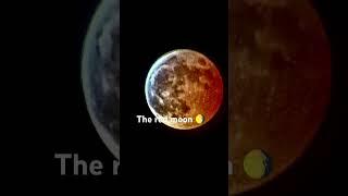 Fyp #RedMoon #Moon #NASA #Yvette #SpaceEvent #Rare #Space #OnceInALifetime