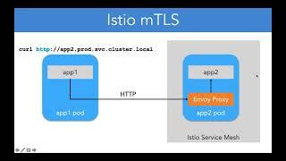 11 20 Istio mTLS