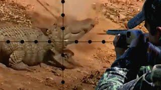 Best of Crocodile hunting | Top kill shot Compilation | Ultimate killing Crocodile |Crocodile Attack