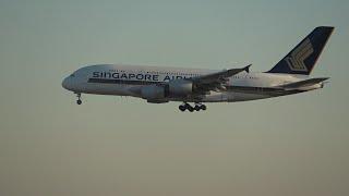 🟊FRA🟊 Landung Airbus A380-841 | Singapore Airlines