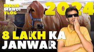 Bakra Eid 2024 | Qurbai | Mandi Vlog | MehdiCast