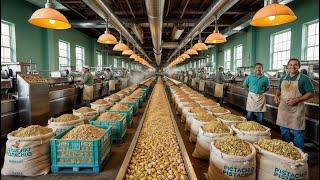 Peek Inside A Pistachio Factory: From Farm To Packaging!