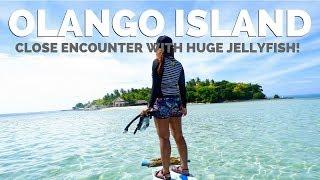 Olango Island, Cebu, Philippines - Close Encounter With A Huge Jellyfish!