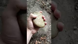 Attempt crush stone with hand day 43 #shorts #sports #workout #calisthenics #stone