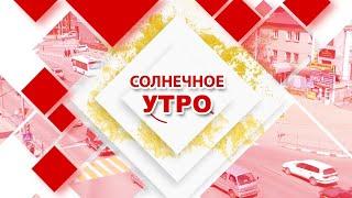 19.11.2024 Солнечное утро