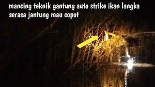 mancing dengan teknik gantung di malam hari malah strike ikan langka