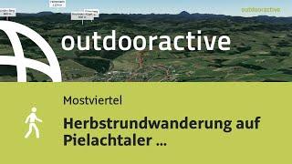 Flyover-Video: Herbstrundwanderung auf Pielachtaler Pilgerweg von Grünau am 12. Oktober 2024