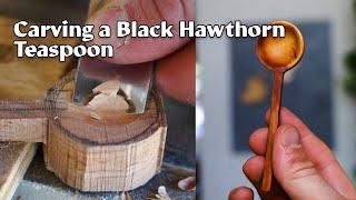 carving a teaspoon out of black hawthorn wood